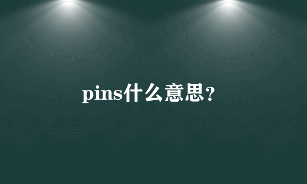 pins什么意思？