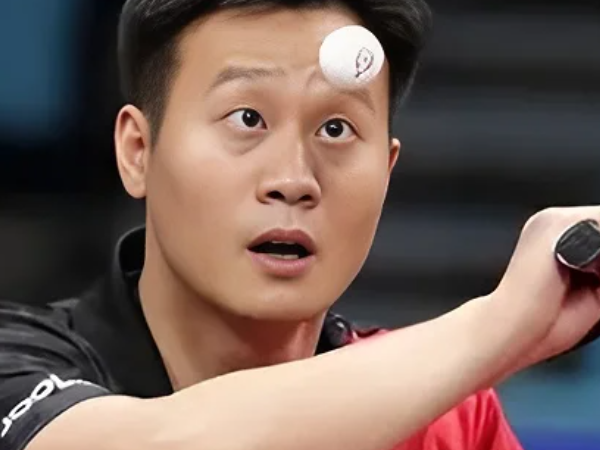 乒乓球运动员王洋个人资料