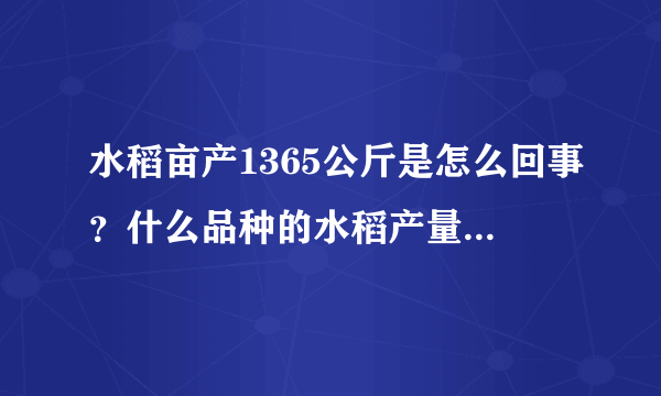 水稻亩产1365公斤是怎么回事？什么品种的水稻产量这么高？