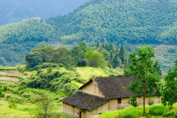 什么的山野填空
