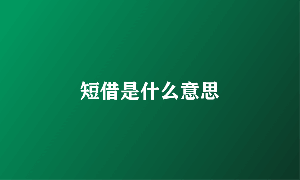 短借是什么意思