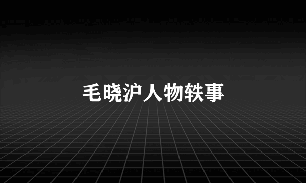 毛晓沪人物轶事