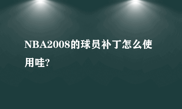 NBA2008的球员补丁怎么使用哇?