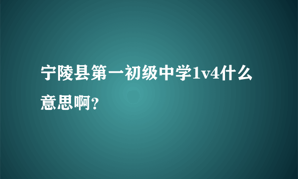 宁陵县第一初级中学1v4什么意思啊？