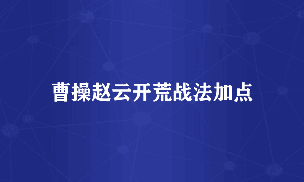 曹操赵云开荒战法加点