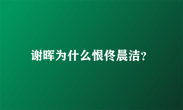 谢晖为什么恨佟晨洁？