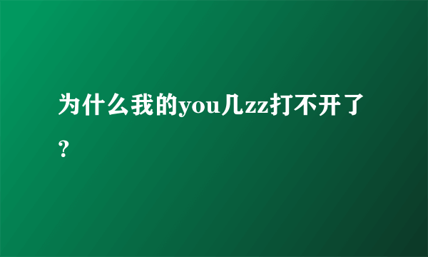 为什么我的you几zz打不开了？