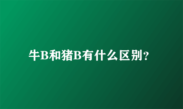 牛B和猪B有什么区别？