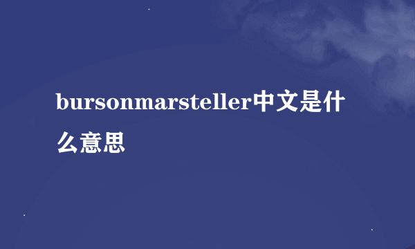 bursonmarsteller中文是什么意思