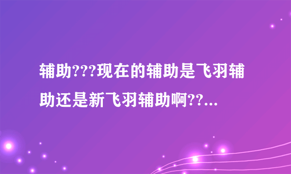 辅助???现在的辅助是飞羽辅助还是新飞羽辅助啊???在那下个可以