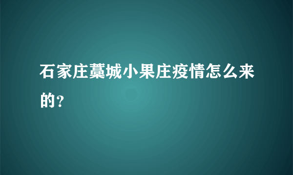石家庄藁城小果庄疫情怎么来的？