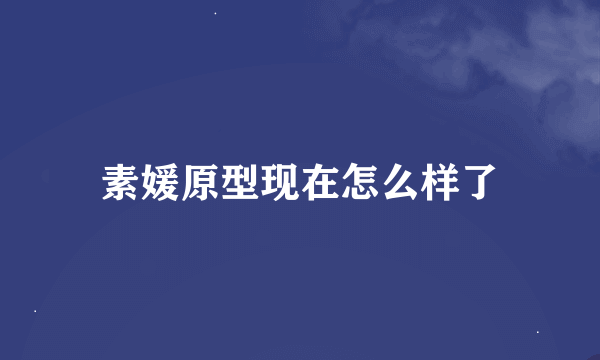 素媛原型现在怎么样了