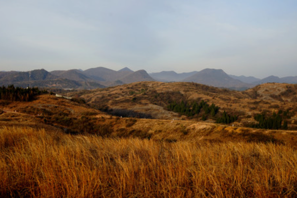 什么的山野填空