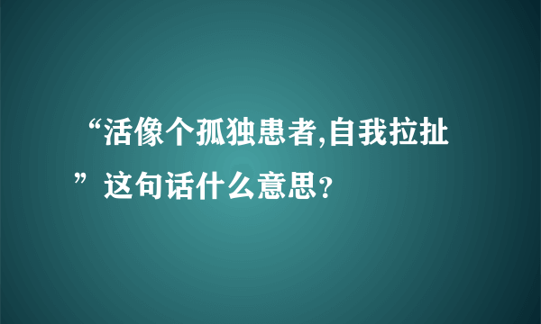 “活像个孤独患者,自我拉扯”这句话什么意思？