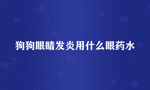 狗狗眼睛发炎用什么眼药水