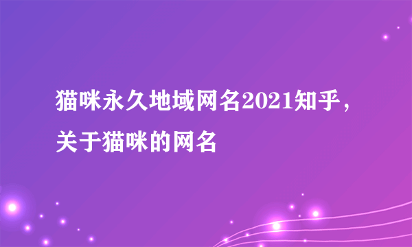 猫咪永久地域网名2021知乎，关于猫咪的网名