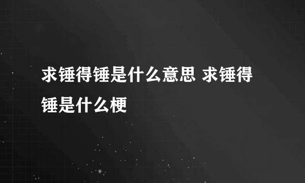 求锤得锤是什么意思 求锤得锤是什么梗