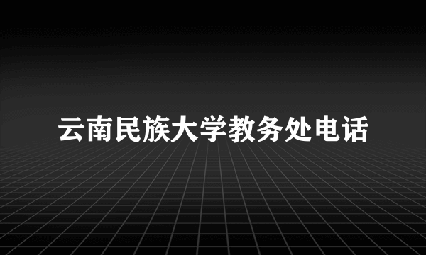 云南民族大学教务处电话