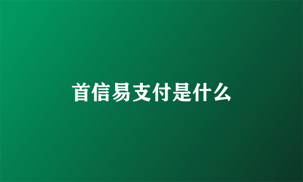 首信易支付是什么