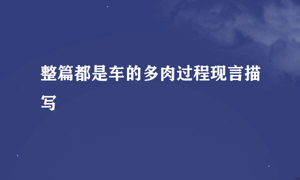 整篇都是车的多肉过程现言描写