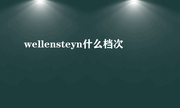 wellensteyn什么档次