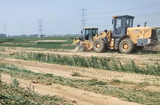 河北两村庄因建光伏电站毁百亩麦地，毁麦田建光伏发电是杀鸡取卵的行为吗？