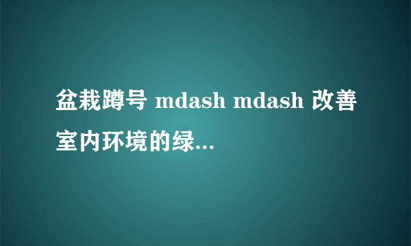 盆栽蹲号 mdash mdash 改善室内环境的绿色生活方式
