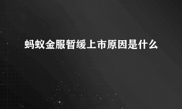 蚂蚁金服暂缓上市原因是什么
