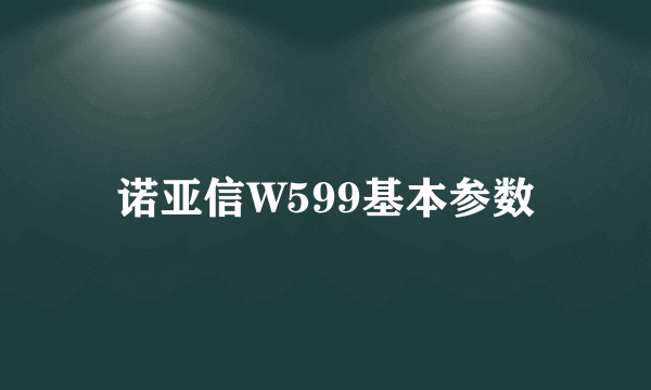诺亚信W599基本参数