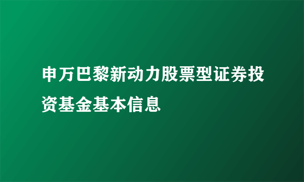 申万巴黎新动力股票型证券投资基金基本信息