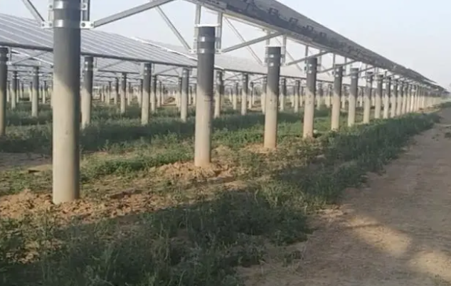 河北两村庄因建光伏电站毁百亩麦地，毁麦田建光伏发电是杀鸡取卵的行为吗？