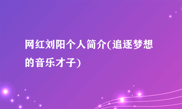 网红刘阳个人简介(追逐梦想的音乐才子)