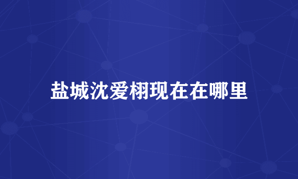盐城沈爱栩现在在哪里