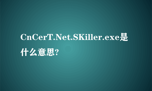 CnCerT.Net.SKiller.exe是什么意思?