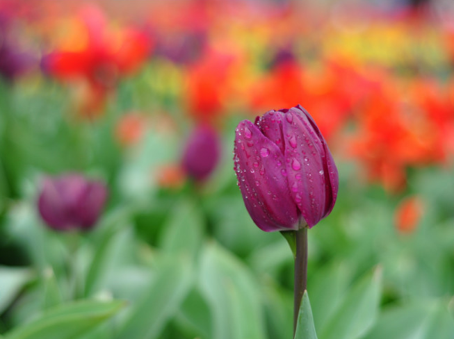 什么是“岁月无痕”？