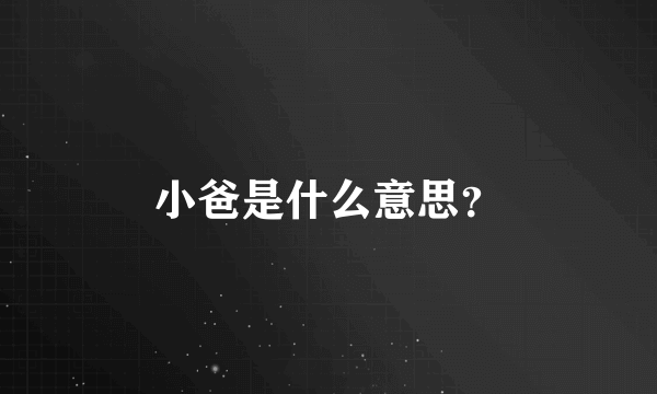 小爸是什么意思？