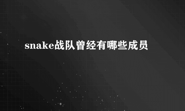 snake战队曾经有哪些成员