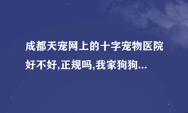 成都天宠网上的十字宠物医院好不好,正规吗,我家狗狗可能要动手术
