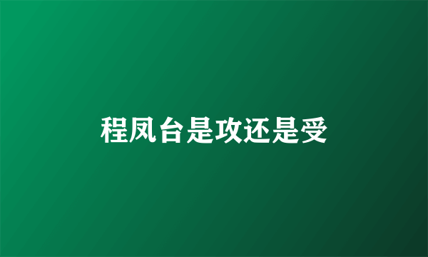 程凤台是攻还是受