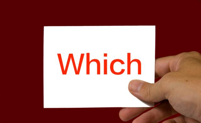 which of which和among which有什么区别？