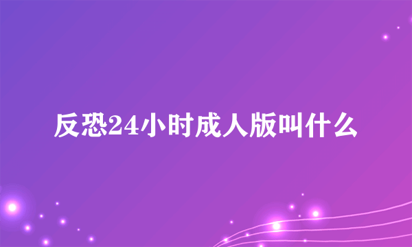 反恐24小时成人版叫什么