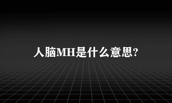 人脑MH是什么意思?