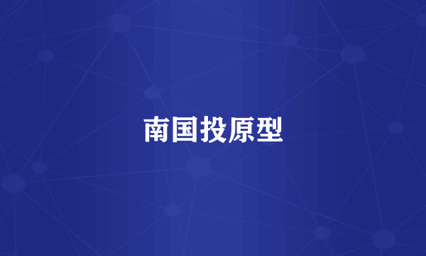 南国投原型