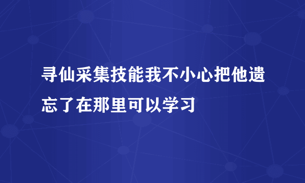 寻仙采集技能我不小心把他遗忘了在那里可以学习