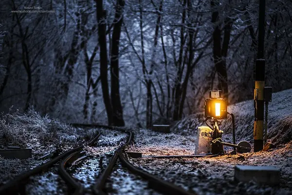 夜归人是什么意思