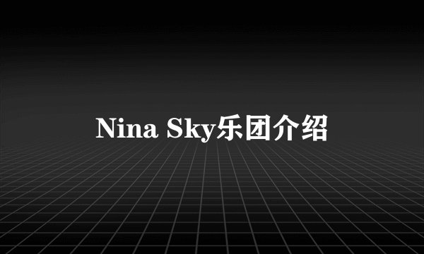 Nina Sky乐团介绍
