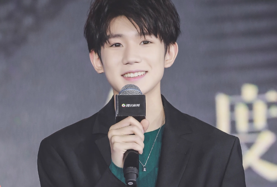 王源为什么是国家编制