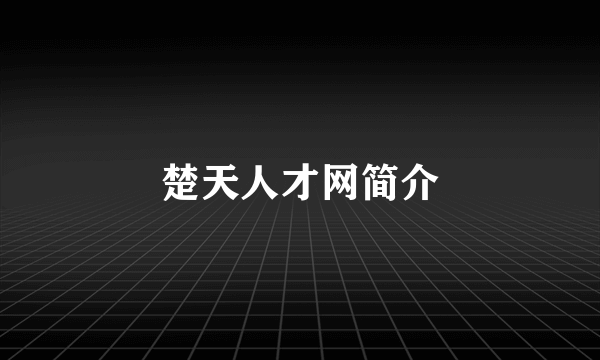 楚天人才网简介