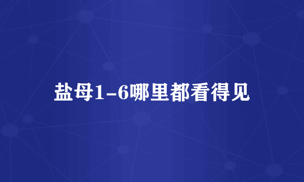 盐母1-6哪里都看得见