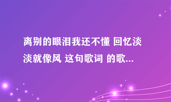 离别的眼泪我还不懂 回忆淡淡就像风 这句歌词 的歌名叫什么